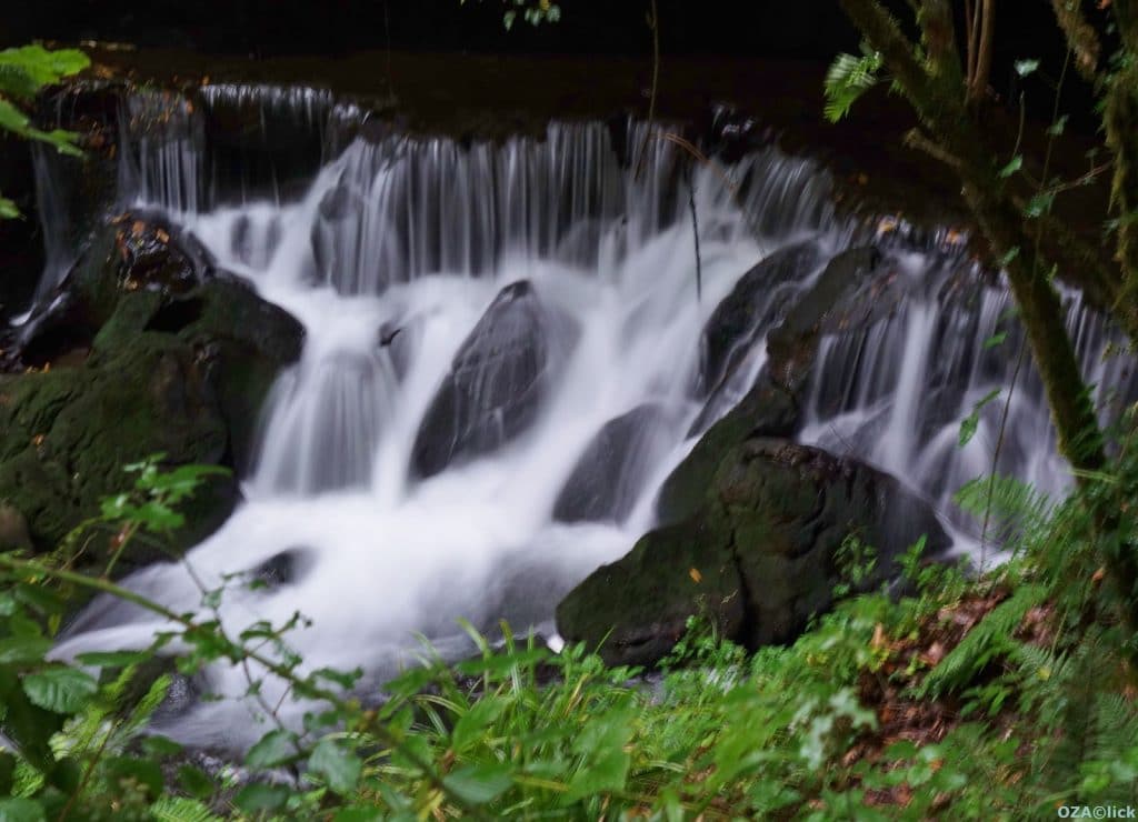fuente del frances hoznayo