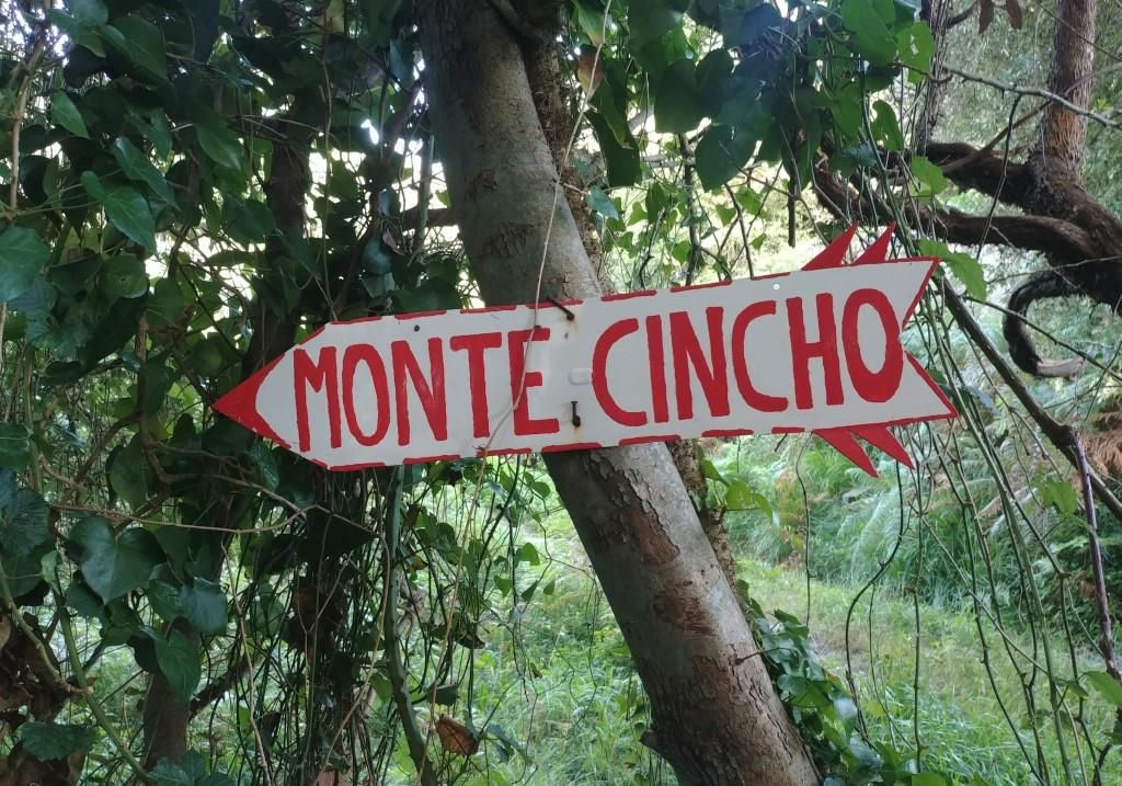 cartel monte cincho arnuero