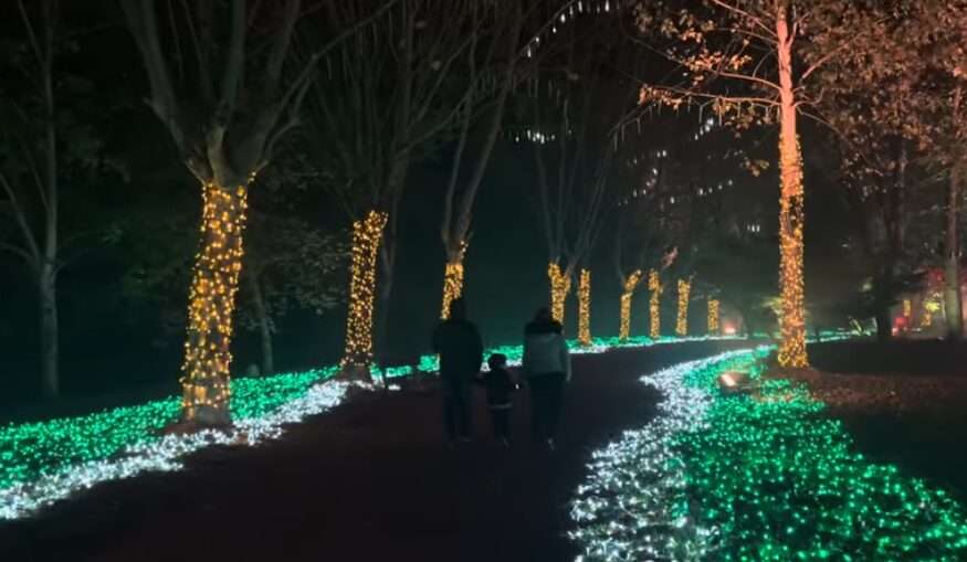 parque magico de la navidad cartes 2025