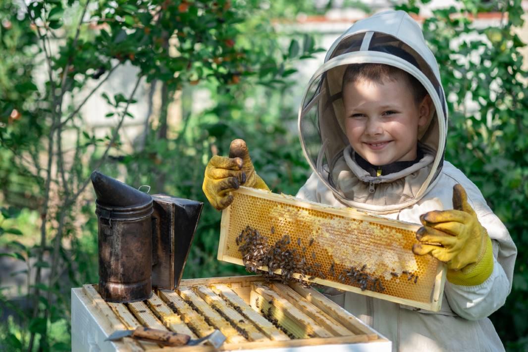 niño_granja_de_abejas_cantabria
