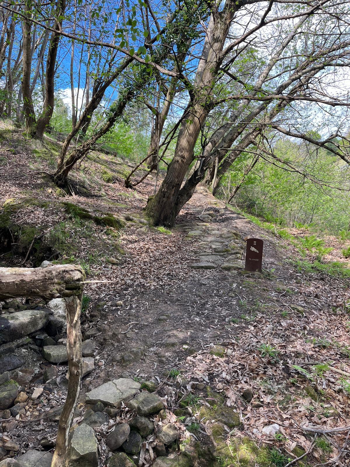 tramo de la ruta del monte fresneda