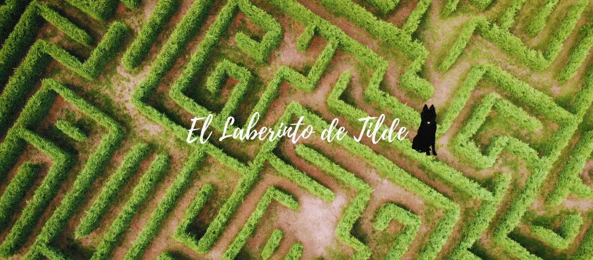 El Laberinto de Tilde Cantabria