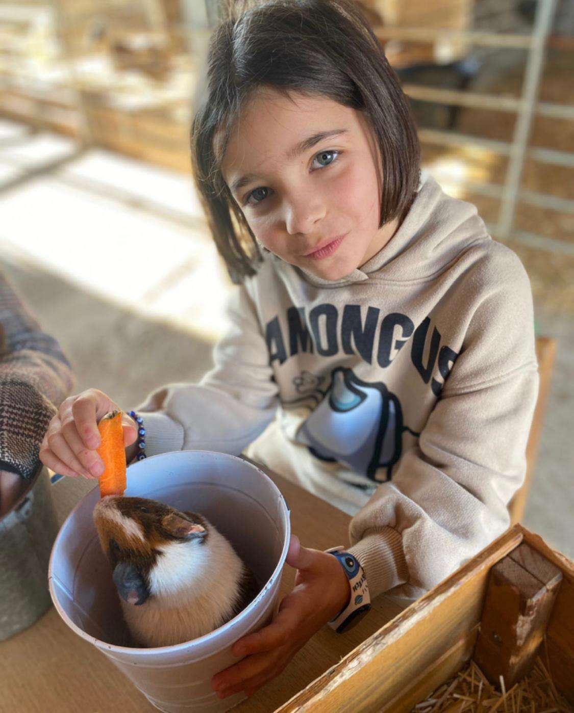 niña dando de comer a un cobaya en la granja pura agro vida