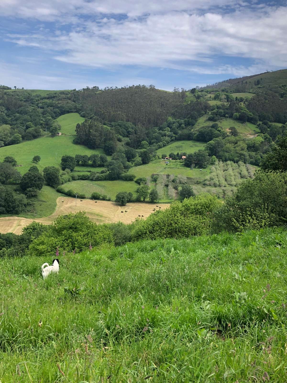 finca de comounamanzana en los valles pasiegos