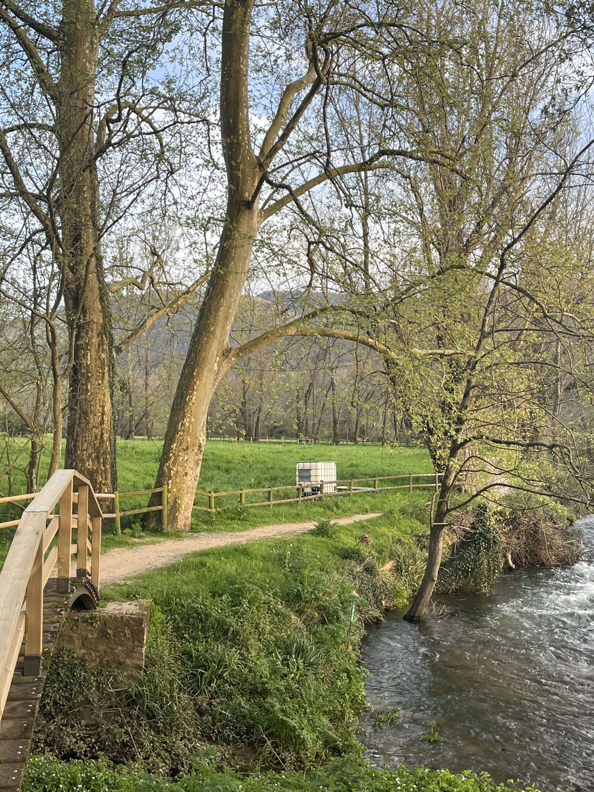 puente sobre el rio pisueña