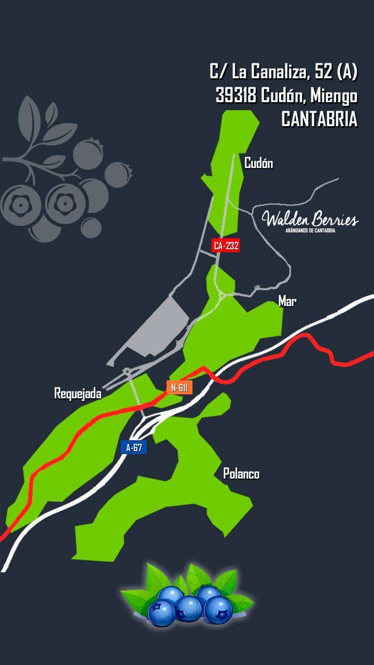 plano acceso walden berries