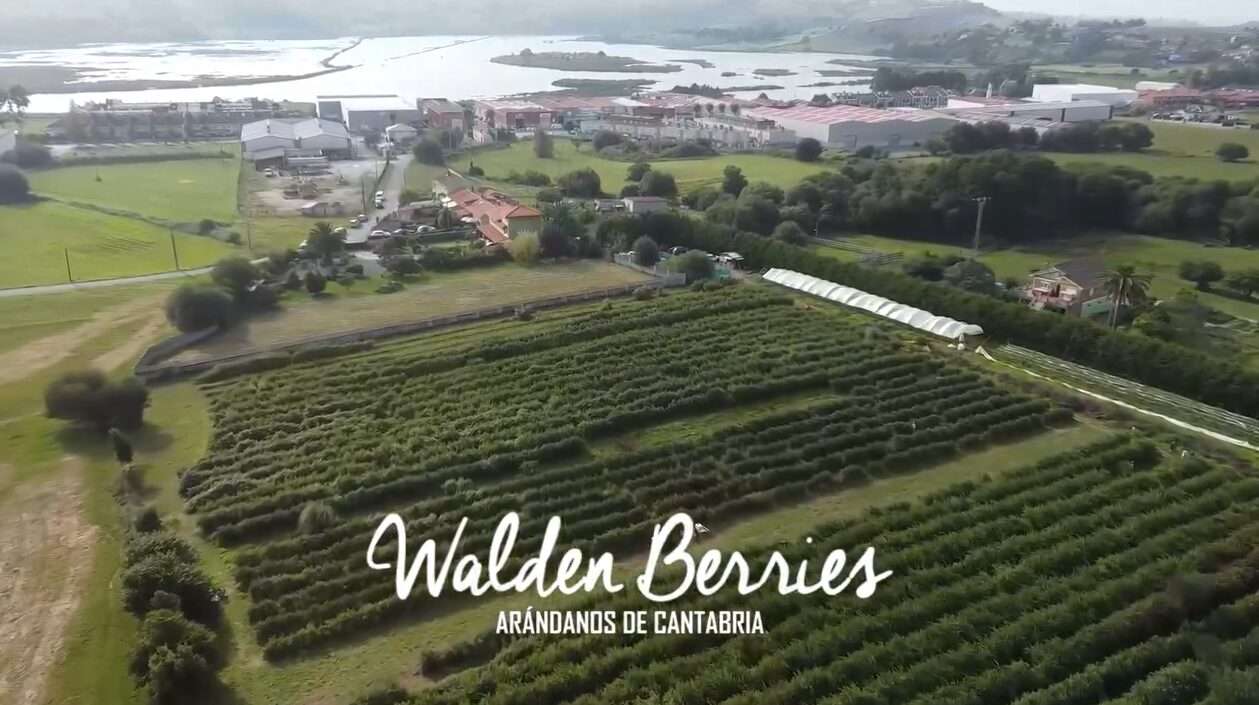 finca walden berries en cudon cantabria