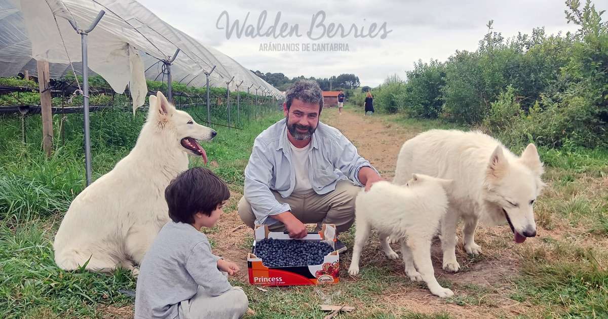 finca de walden berries con niños